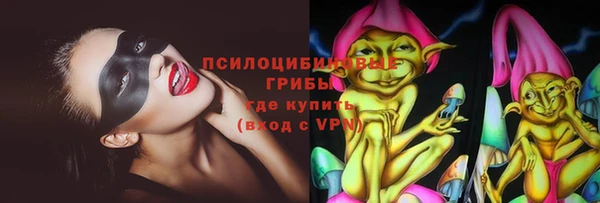 МДПВ Алексеевка